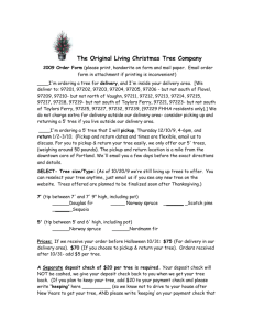 The Original Living Christmas Tree Company