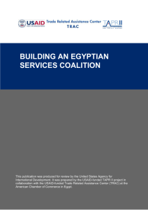 1 - AmCham Egypt