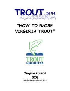 How to Raise Virginia Trout