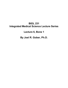 Lecture 006, Bones1 - SuperPage for Joel R. Gober, PhD.