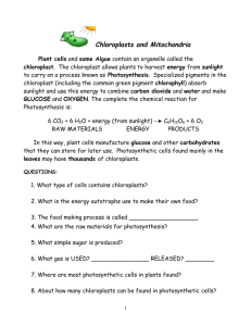 Chloroplasts and Mitochondria (Autosaved).