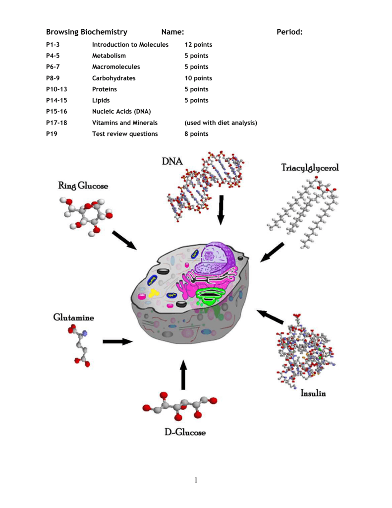 Elements Found In Living Things