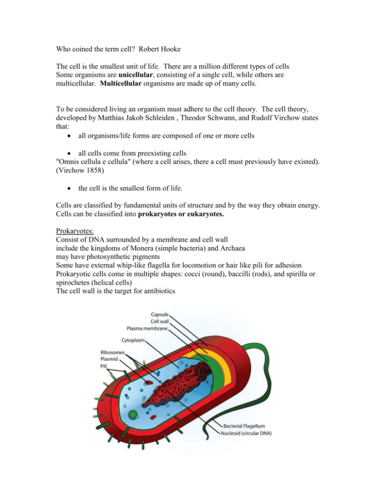 who-coined-the-term-cell