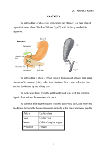 GB Anatomy - Tharwat kandil