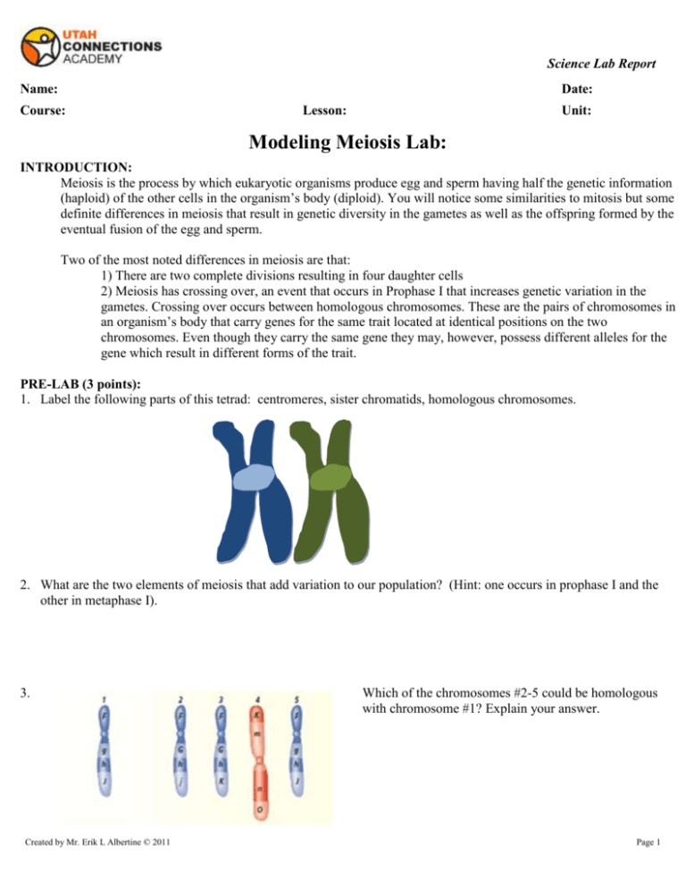 3a.modelingmeiosisuca3