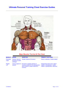 Chest Exercises - Ultimate Personal Training