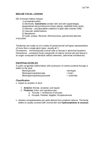 Midline facial lesions