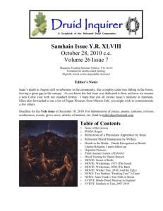 The Druid Network Charity Press Release