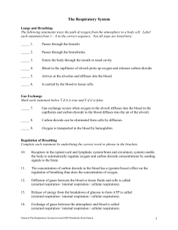 Copyright © Glencoe/McGraw-Hill, a division of the McGraw