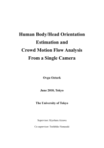 Human Body/Head Orientation Estimation and Crowd Motion Flow