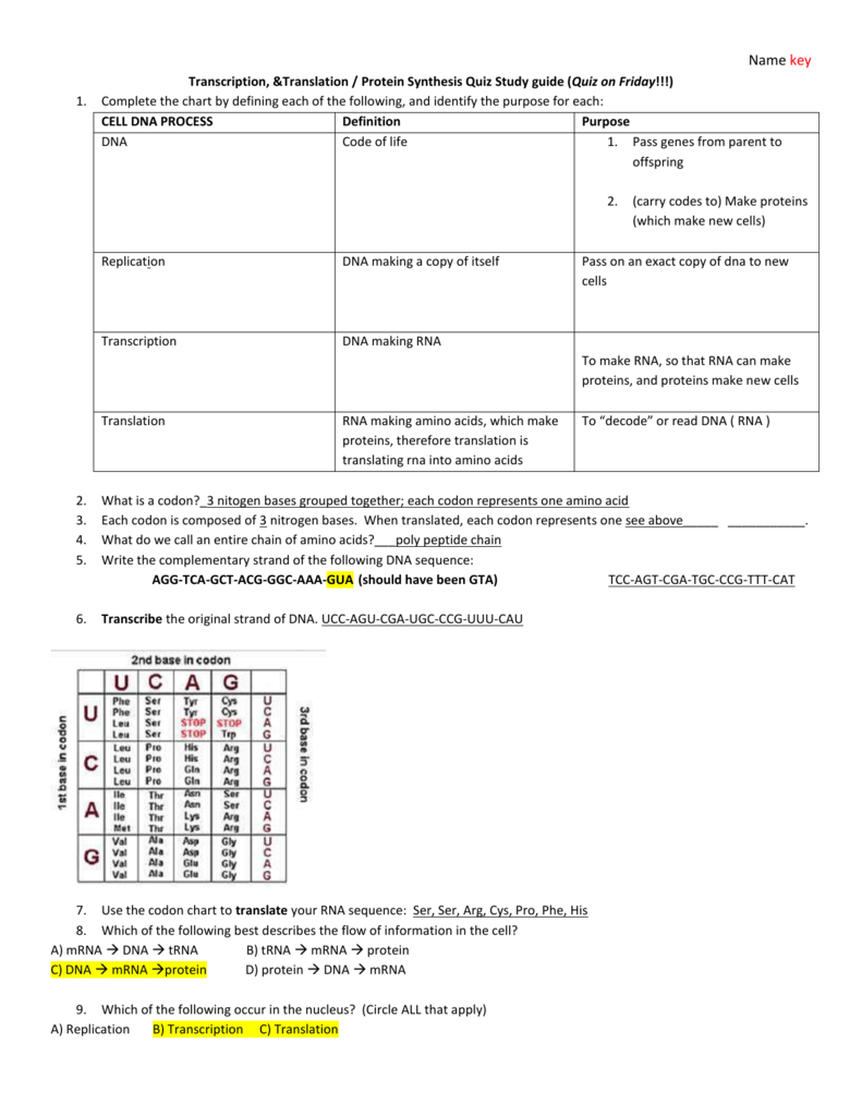 Translation Chart Dna