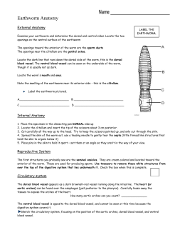 Earthworm Dissection with Answers