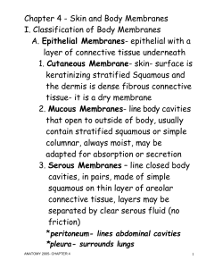 Chapter 4 - Skin and Body Membranes
