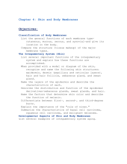 33 Skin And Body Membranes Chapter 4 Worksheet Answers - Notutahituq