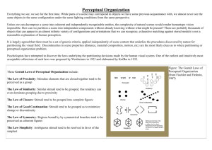 Perceptual Organization