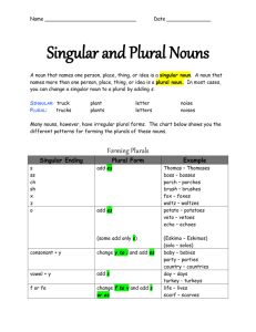 Singular and Plural Nouns