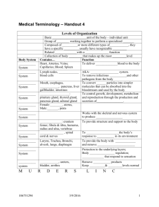 Medical Terminology – Handout 4