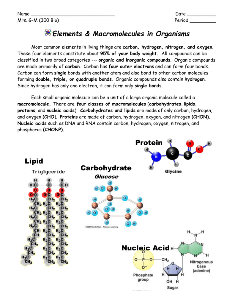 2-what-are-macromolecules