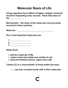 macromolecules and carbohydrates