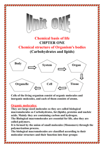 Biology Summary of unit 1 chapter 1