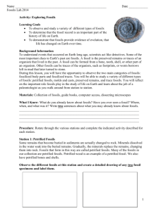 Activity: Exploring Fossils