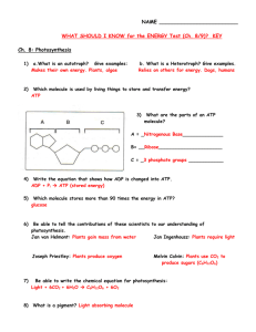 what should i know about photosynthesis