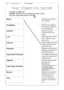 Digestive System Enzymes and Hormone Chart