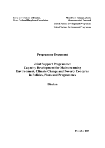 Final Joint Support Programme Document