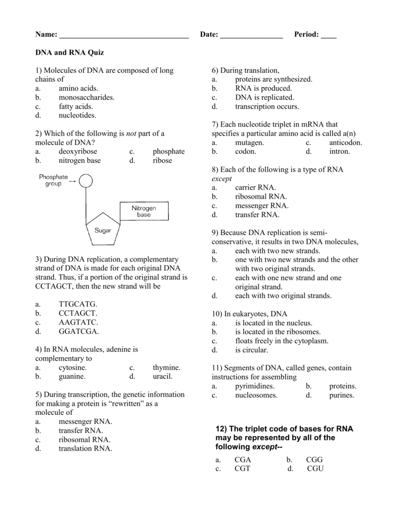  DNA And RNA quiz 