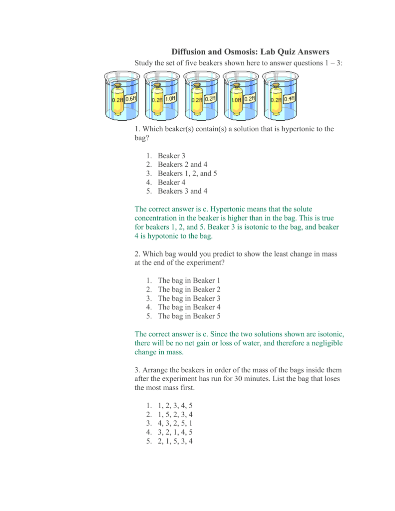 Diffusion And Osmosis Beaker Worksheet Answer Key : Diffusion And