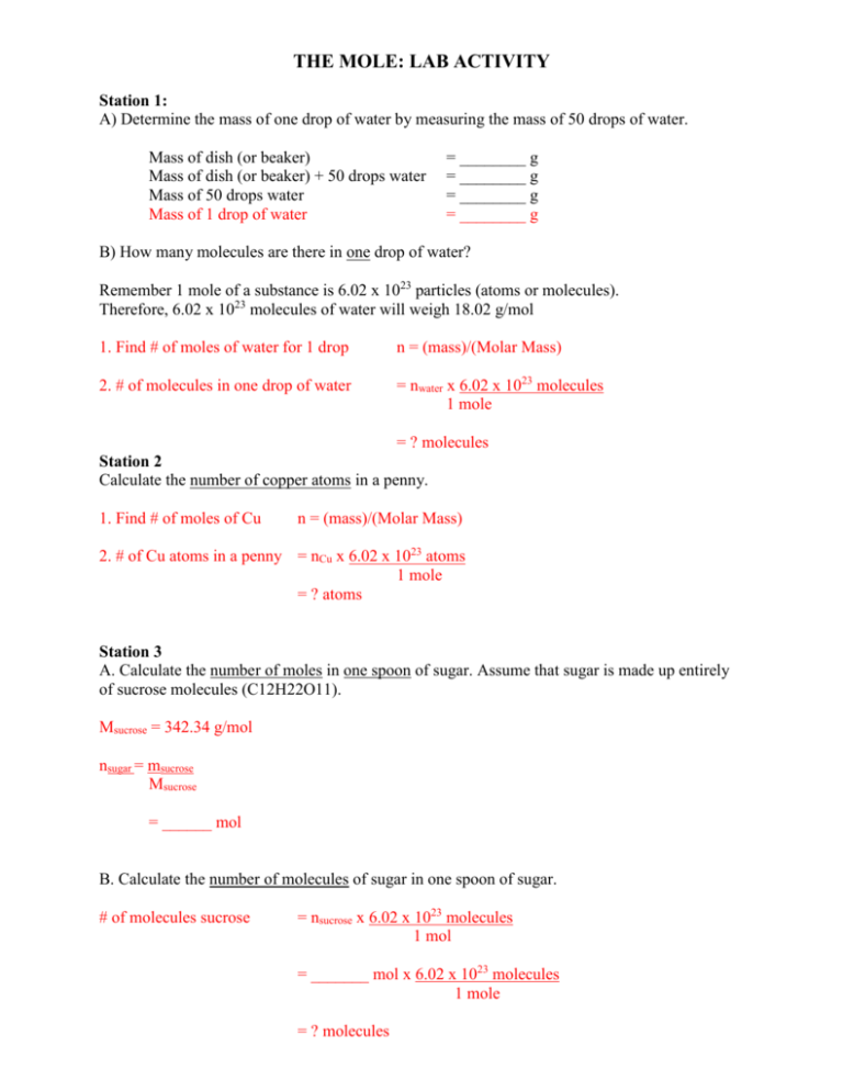 The Mole Lab Activity