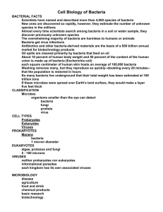 Cell Biology of Bacteria