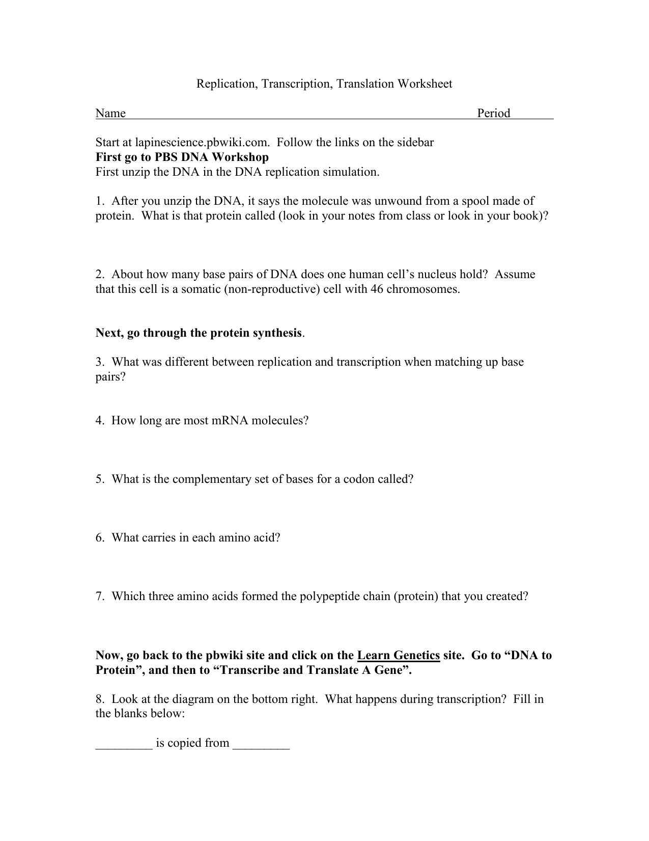 Replication Transcription Translation Worksheet