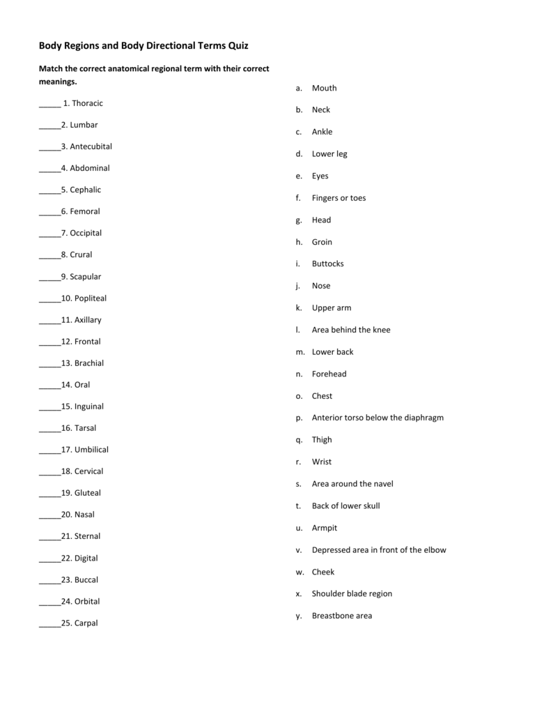 Anatomy Directional Terms Activity