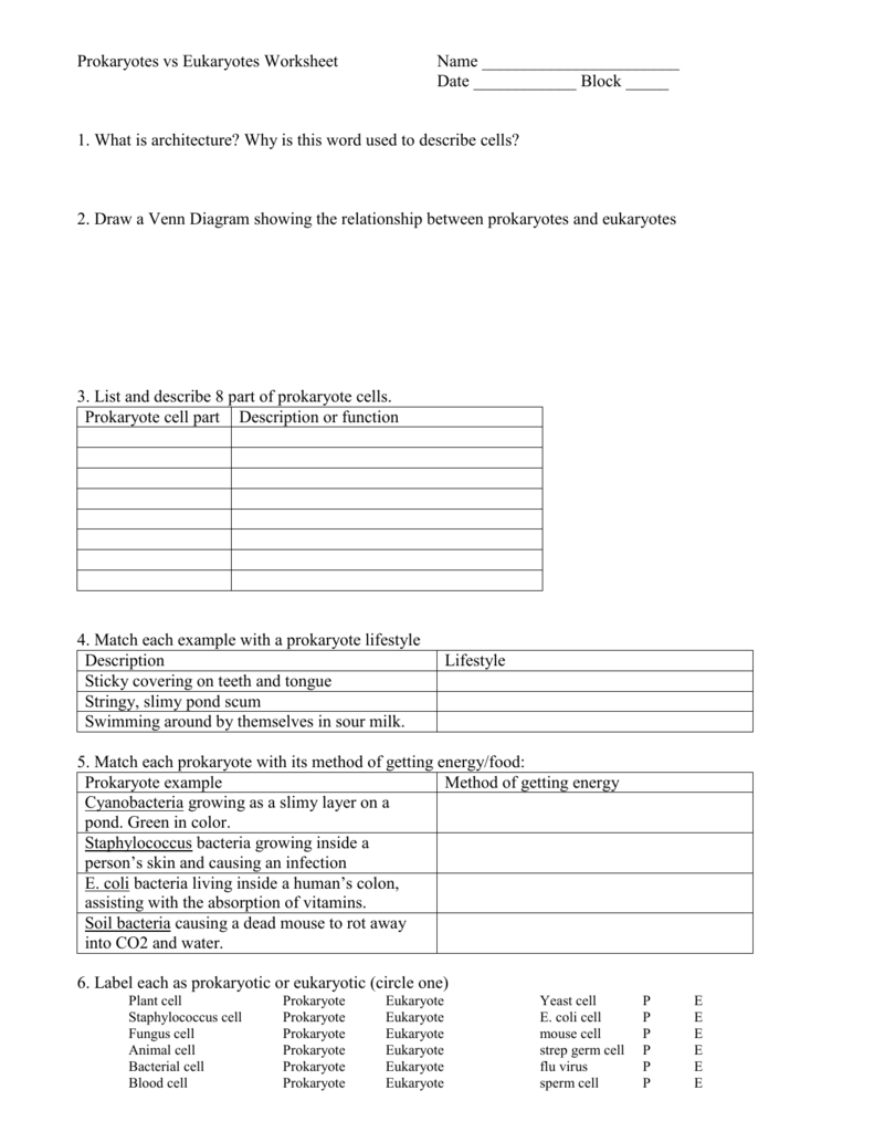 Prokaryote Vs Eukaryote Worksheet