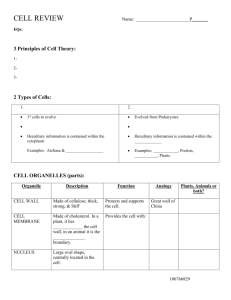 Cell Organelle FIB Notes Cell Organelles Worksheet
