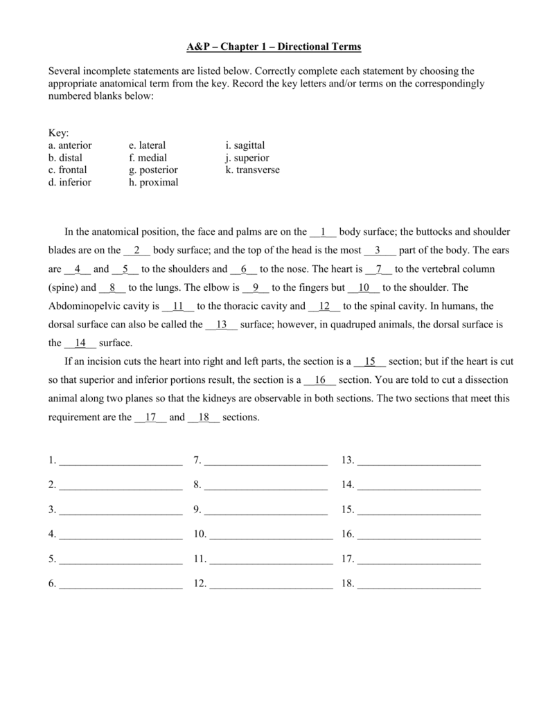 A&P – Chapter 25 – Directional Terms Regarding Anatomical Terms Worksheet Answers