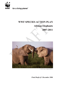 WWF AFRICAN ELEPHANT SAP