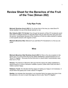 Review Sheet for the Berachos of the Fruit of the Tree (Siman 202)