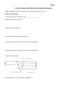 Name: Unit Two: Flowers and Plant Life Cycles Review Worksheet