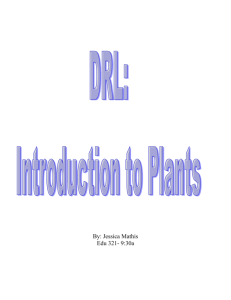 DRL: Introduction to Plants