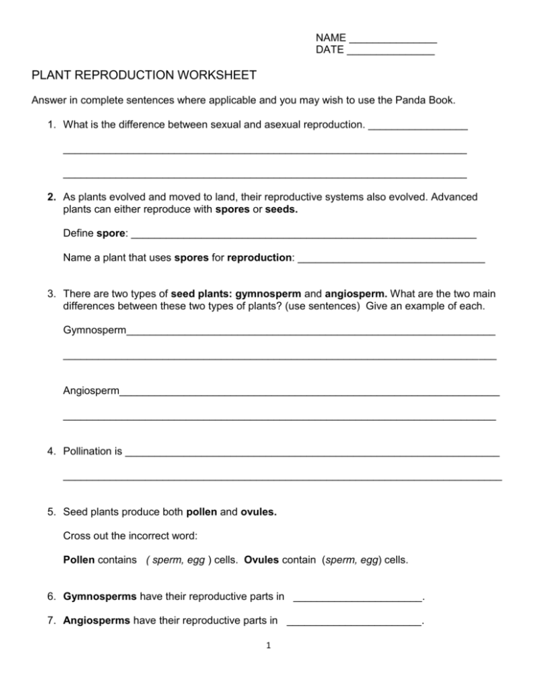 Viral Reproduction Worksheet Answers