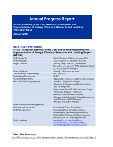 Annex 7: Project Annual Report Template