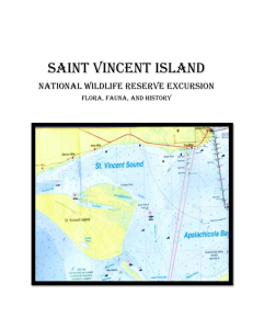 Introduction - St Vincent Island