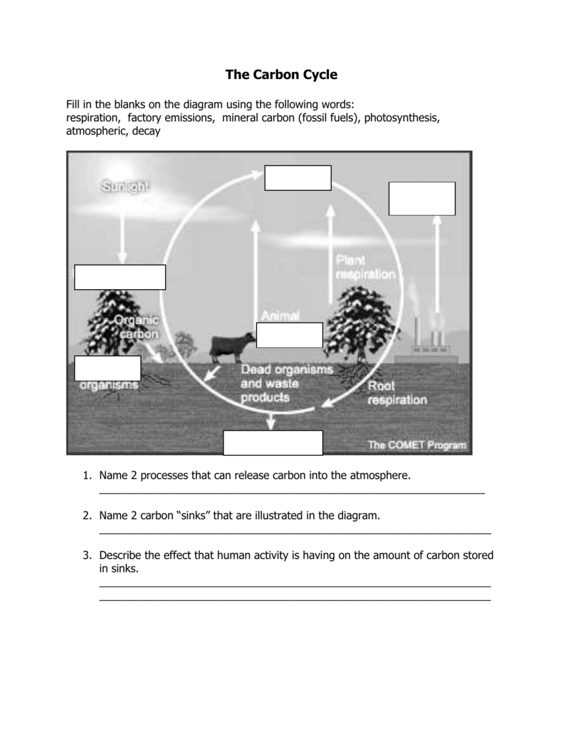 The Carbon Cycle With Carbon Cycle Diagram Worksheet