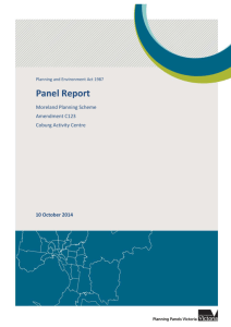 Panel Report - Moreland City Council