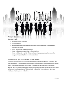 Sym City! Symmetry Unit - Tennessee Opportunity Programs