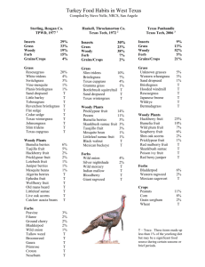 Turkey Food Habits - Hill Country Land Trust