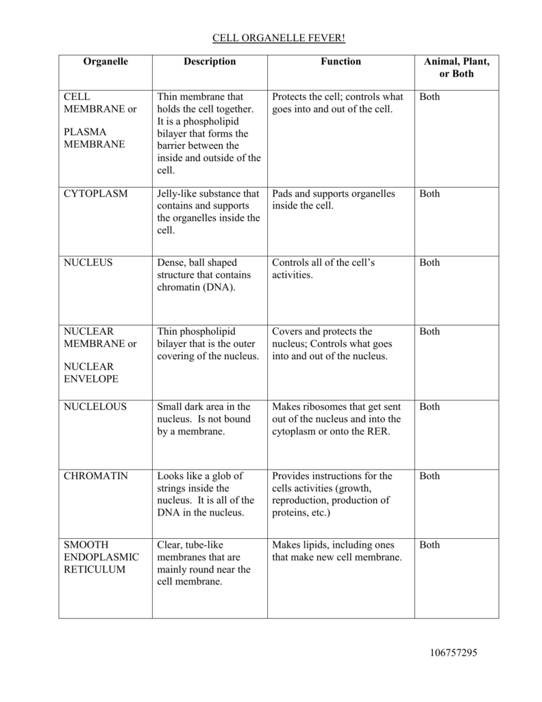 Cell Organelles Worksheet For Cells And Their Organelles Worksheet