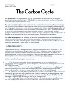 The Carbon Cycle